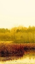 Scaricare immagine 800x480 Landscape, Water, Trees, Grass sul telefono gratis.