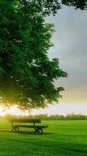 Scaricare immagine Trees, Landscape, Grass, Sunset sul telefono gratis.