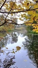 Scaricare immagine 480x800 Landscape, Water, Trees sul telefono gratis.