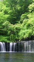 Scaricare immagine Trees, Nature, Water, Waterfalls sul telefono gratis.
