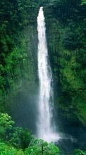 Scaricare immagine 240x320 Landscape, Water, Trees, Waterfalls sul telefono gratis.