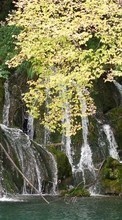 Scaricare immagine Trees, Landscape, Waterfalls sul telefono gratis.