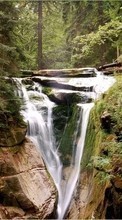 Scaricare immagine 320x240 Landscape, Trees, Waterfalls sul telefono gratis.