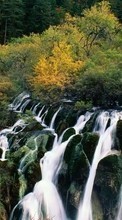 Scaricare immagine 1024x600 Landscape, Trees, Waterfalls sul telefono gratis.