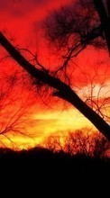 Scaricare immagine Landscape, Trees, Sunset sul telefono gratis.