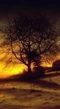 Scaricare immagine 1280x800 Landscape, Trees, Sunset sul telefono gratis.