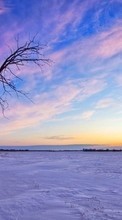 Scaricare immagine Trees,Landscape,Sunset,Winter sul telefono gratis.