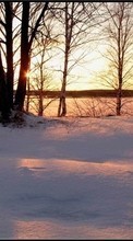 Scaricare immagine Landscape, Winter, Trees, Sunset sul telefono gratis.