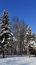 Scaricare immagine Trees,Landscape,Winter sul telefono gratis.