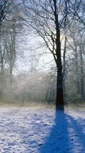 Landscape, Winter, Trees per HTC One M8s