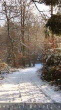 Scaricare immagine 1280x800 Landscape, Winter, Trees sul telefono gratis.