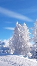 Scaricare immagine 1280x800 Landscape, Winter, Trees sul telefono gratis.