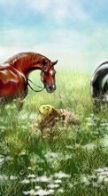 Scaricare immagine Girls, Horses, People, Pictures, Animals sul telefono gratis.