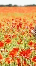 Scaricare immagine Girls,People,Poppies,Landscape,Fields sul telefono gratis.