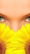Scaricare immagine Plants, Humans, Girls, Sunflowers sul telefono gratis.