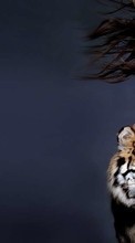 Girls,People,Tigers,Animals per Asus ZenFone Go ZC500TG