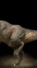 Scaricare immagine Dinosaurs,Animals sul telefono gratis.