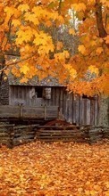 Scaricare immagine Landscape, Houses, Autumn, Leaves sul telefono gratis.