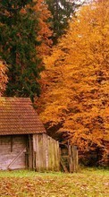 Houses,Autumn,Landscape per Samsung Star GT-S5230