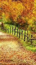 Scaricare immagine Roads, Leaves, Autumn, Nature sul telefono gratis.