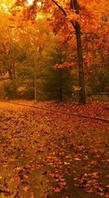 Scaricare immagine Roads, Leaves, Autumn, Landscape sul telefono gratis.