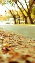 Scaricare immagine Roads, Leaves, Autumn, Landscape sul telefono gratis.