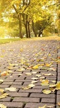 Scaricare immagine Roads,Leaves,Autumn,Landscape sul telefono gratis.
