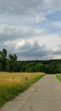 Scaricare immagine 320x240 Landscape, Grass, Sky, Roads sul telefono gratis.