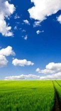 Scaricare immagine 240x400 Landscape, Grass, Sky, Roads sul telefono gratis.