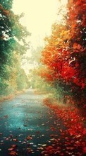 Scaricare immagine Roads, Autumn, Landscape sul telefono gratis.