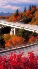 Scaricare immagine Roads, Autumn, Landscape sul telefono gratis.