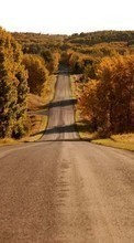 Scaricare immagine Roads,Autumn,Landscape sul telefono gratis.