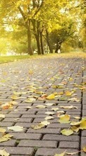 Scaricare immagine Roads,Autumn,Landscape sul telefono gratis.