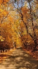 Roads,Autumn,Landscape per Motorola DROID Pro