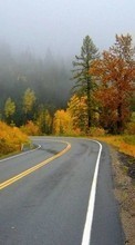 Roads,Autumn,Landscape per Sony Ericsson C902