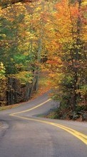Scaricare immagine 240x400 Landscape, Roads, Autumn sul telefono gratis.