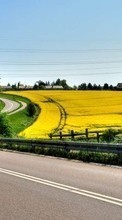 Scaricare immagine Roads, Landscape, Fields sul telefono gratis.
