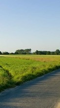 Scaricare immagine Roads,Landscape,Fields sul telefono gratis.