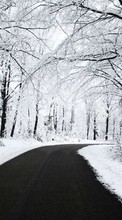 Scaricare immagine Roads, Nature, Winter sul telefono gratis.