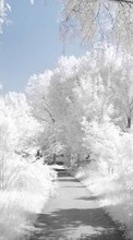 Scaricare immagine Roads,Landscape,Winter sul telefono gratis.