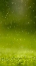 Scaricare immagine Rain, Background, Grass sul telefono gratis.