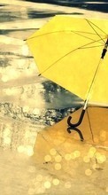 Scaricare immagine Rain, Objects, Autumn, Landscape sul telefono gratis.
