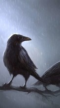 Scaricare immagine Animals, Birds, Rain, Drawings, Crows sul telefono gratis.