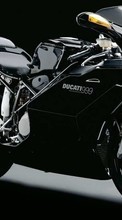 Scaricare immagine 240x400 Transport, Motorcycles, Ducati sul telefono gratis.