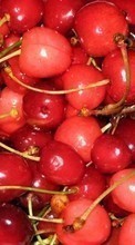 Scaricare immagine Fruits, Sweet cherry, Food, Backgrounds, Berries sul telefono gratis.