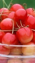 Scaricare immagine 1024x600 Fruits, Sweet cherry, Food, Berries sul telefono gratis.
