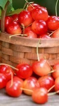 Scaricare immagine Food,Sweet cherry,Fruits sul telefono gratis.