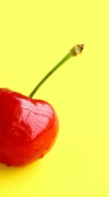 Food,Sweet cherry,Fruits per Samsung Star GT-S5230