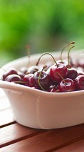 Food,Sweet cherry,Fruits per Asus ZenPad 7.0 Z370C