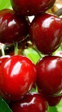 Scaricare immagine 1080x1920 Fruits, Sweet cherry, Food, Berries sul telefono gratis.